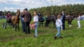 Lierop Fokpaardendag 2016 (50)